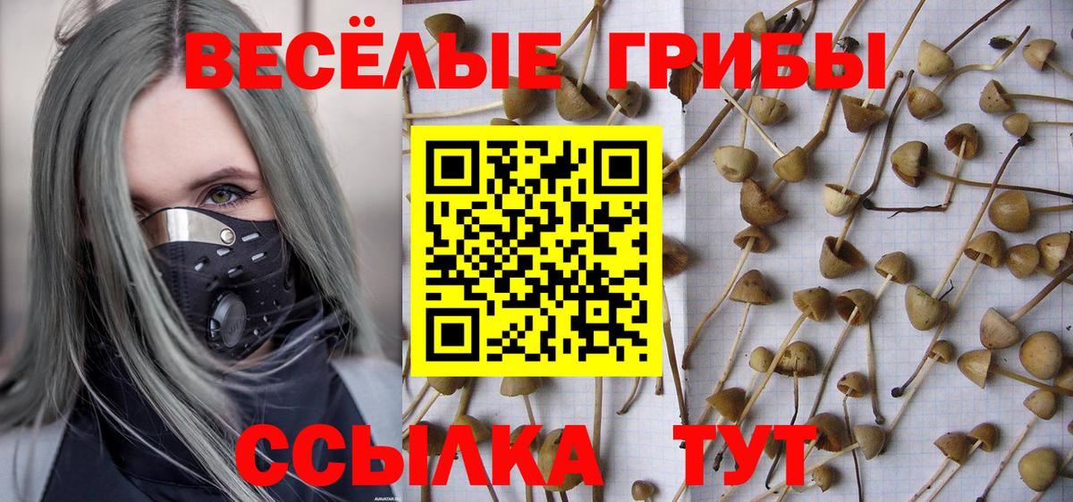 Псилоцибиновые грибы прущие грибы Заинск