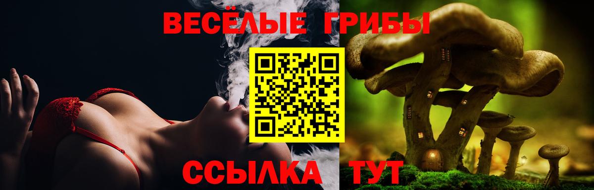 Заинск  Псилоцибиновые грибы Psilocybine cubensis  Галлюциногенные грибы прущие грибы  Вход с VPN 